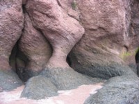 Hopewell Rocks in New Brunswick. 50 foot tide differences.