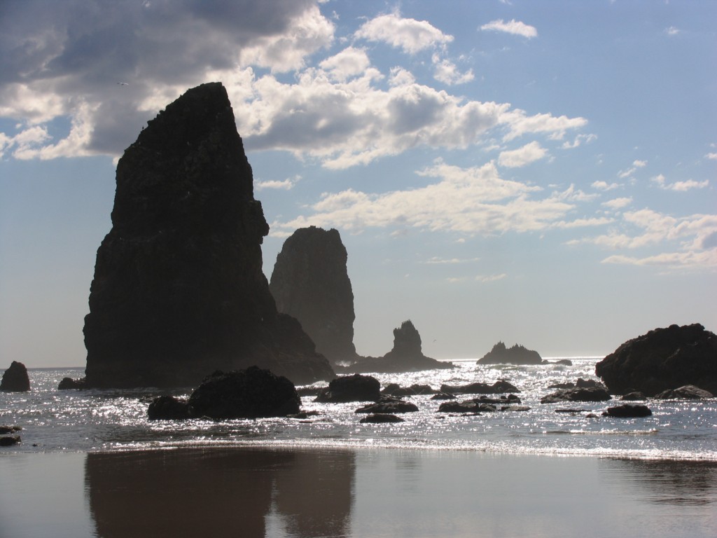 Pacific Ocean along the Oregon Coast.